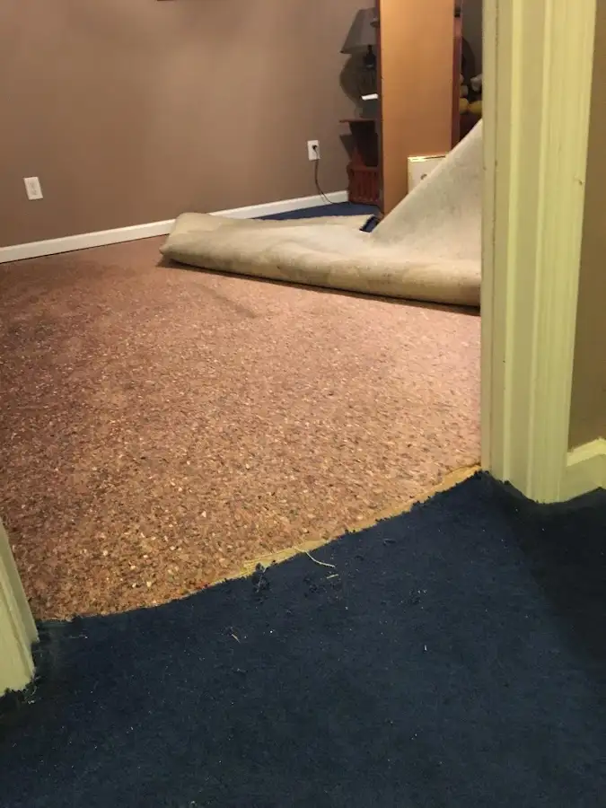 Carpet pad removal revealing water damage during Water Mitigation Services in Endicott