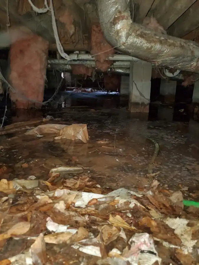 Crawl space flood assessment for Leak Detection & Repair in Endicott